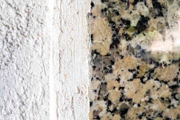 Close-up of a damp wall with visible mold and moisture damage